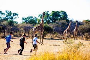 Nedbank Save The Rhino Trail run1