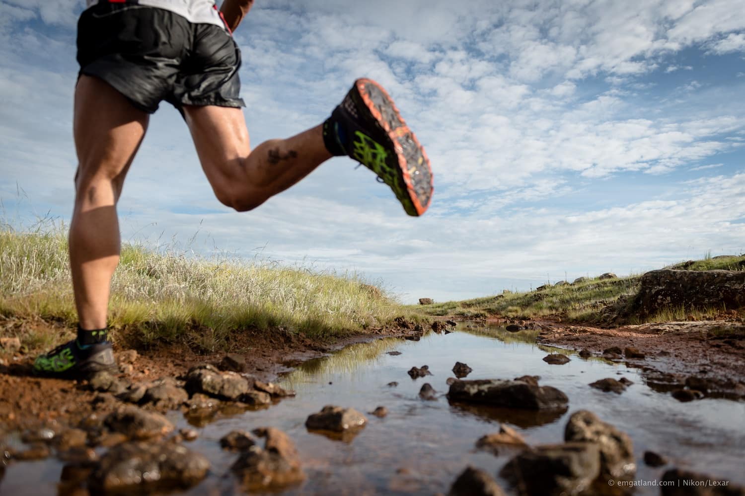 Em Gatland (1 of 8)re