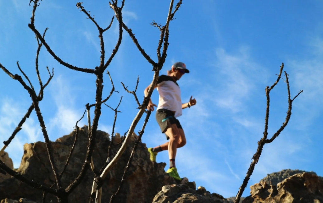 Screen Shot 2017-11-02 at 9.56.18 AM