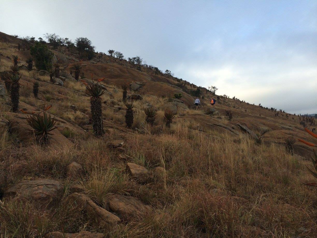 Wittenberg Trail Run