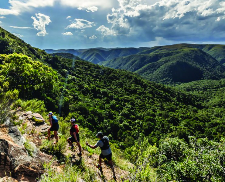 Screenshot 2026-03-02 094228